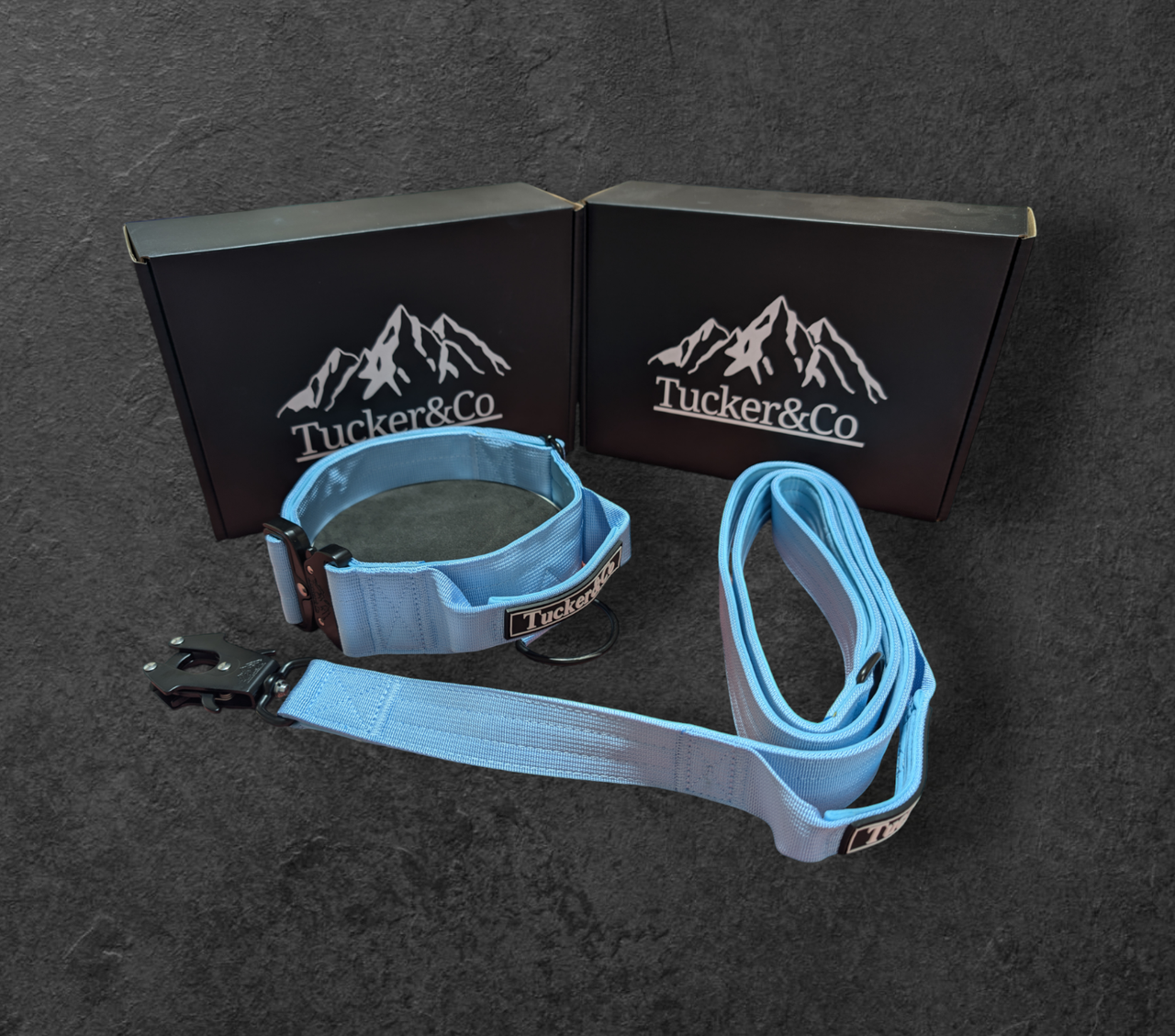 Tucker&Co Sky Blue full matching set - Collar Lead & Harness