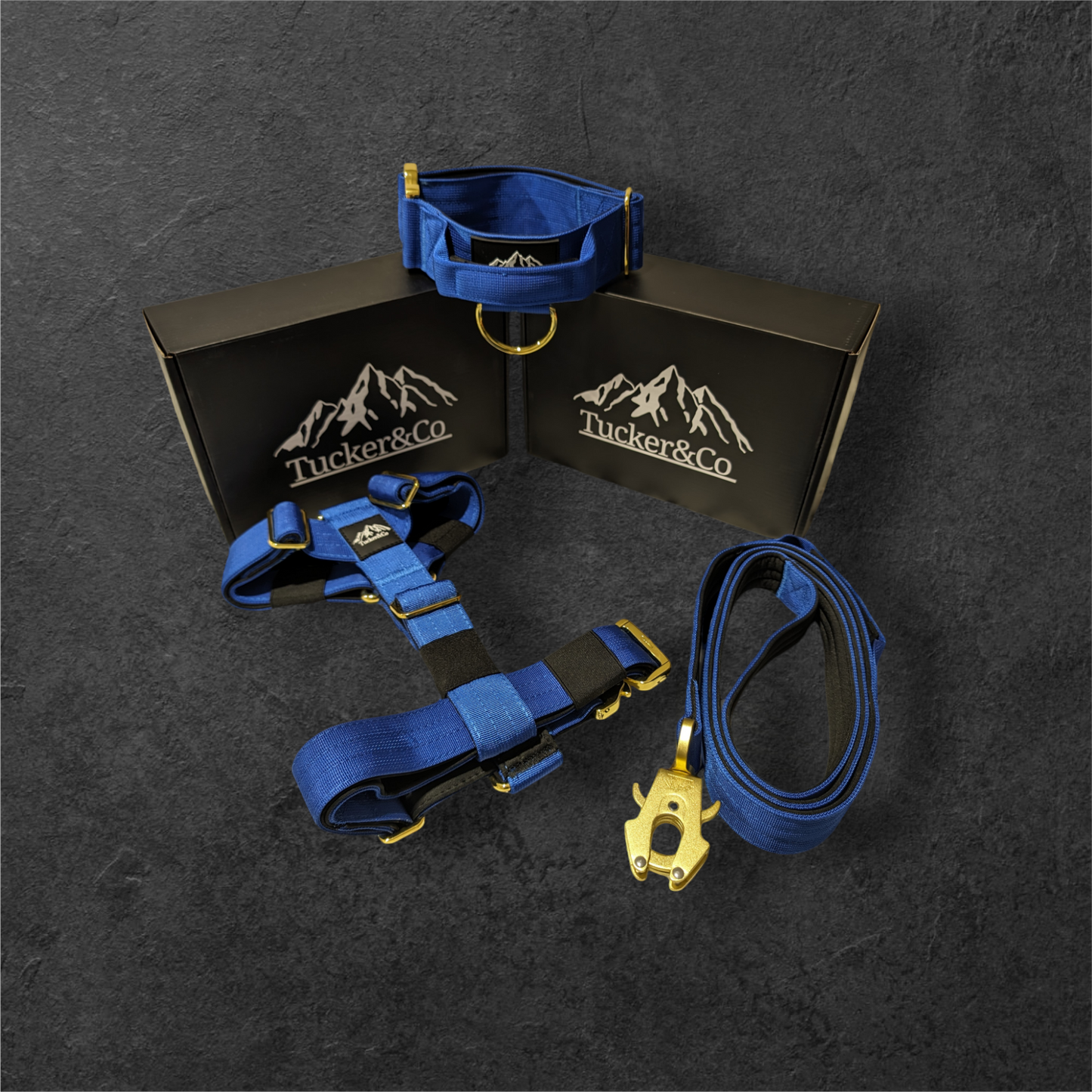 Tucker&Co Royal Blue full matching set - Collar Lead & Harness