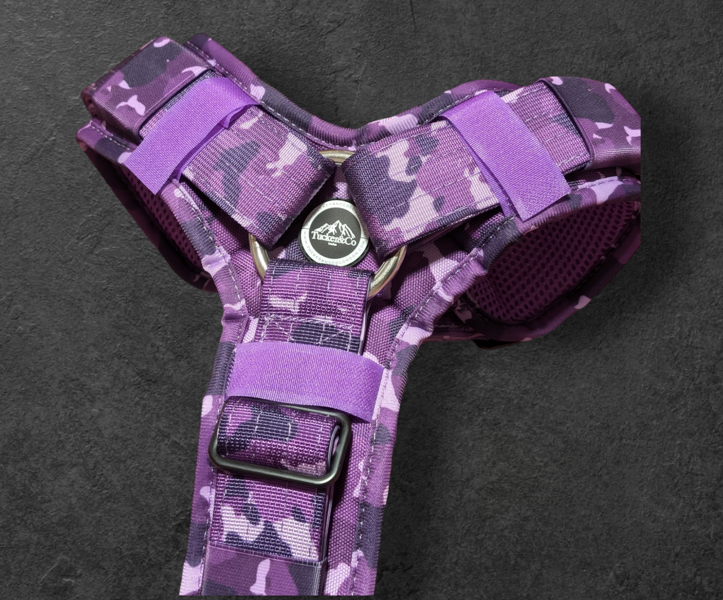 Tucker&Co London Camo Purple Ultimate Comfort Harness