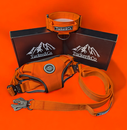 Tucker&Co Orange full matching set - Collar Lead & Harness