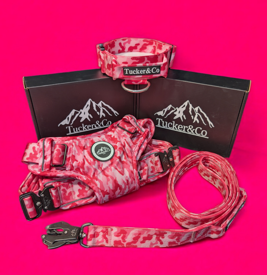 Tucker&Co Camo Pink full matching set - Collar Lead & Harness