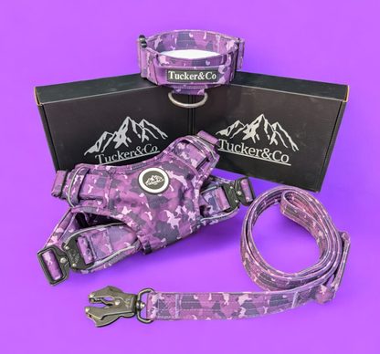 Tucker&Co Camo Purple full matching set - Collar Lead & Harness