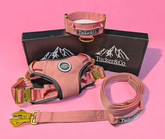 Tucker&Co Soft Pink full matching set - Collar Lead & Harness