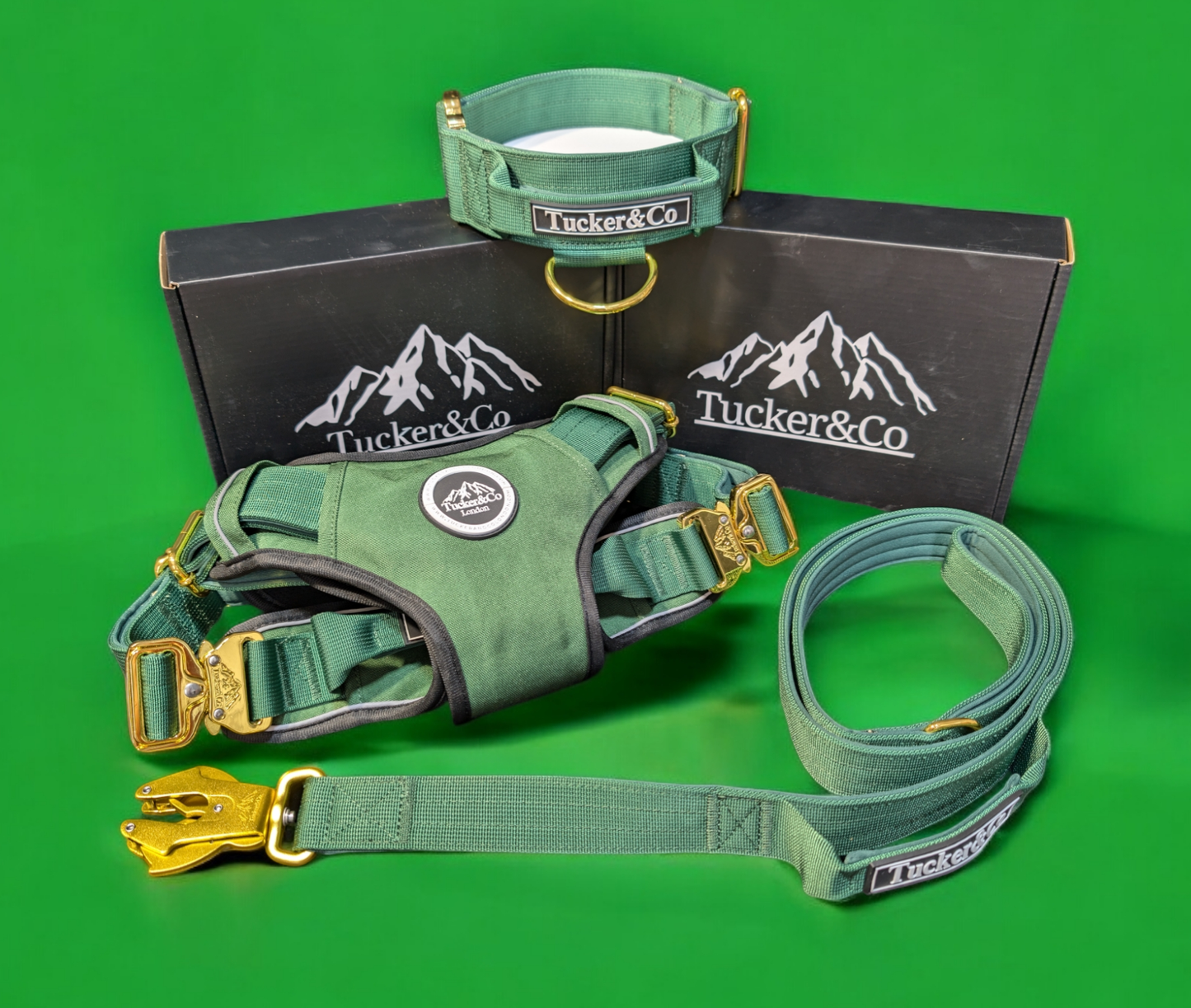 Tucker&Co Emerald Green and gold full matching set - Collar Lead & Harness