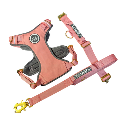 Tucker&Co Soft Pink full matching set - Collar Lead & Harness