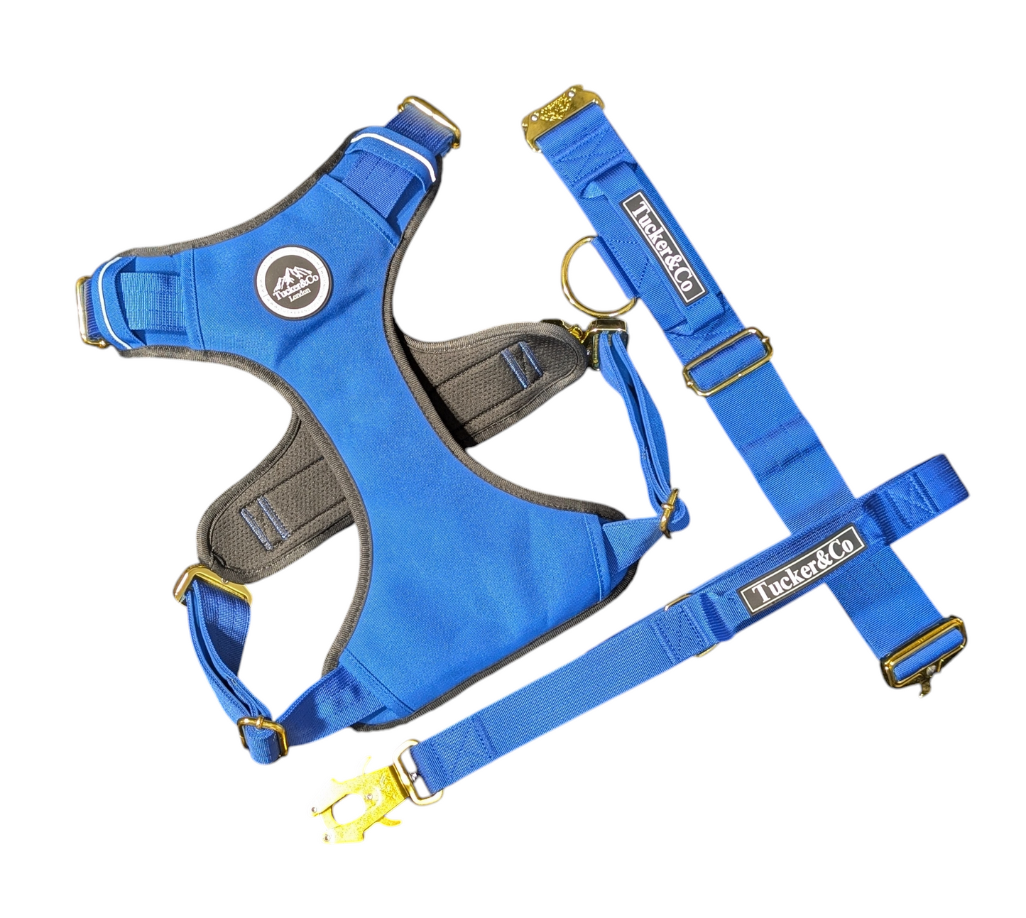 Tucker&Co Royal Blue full matching set - Collar Lead & Harness