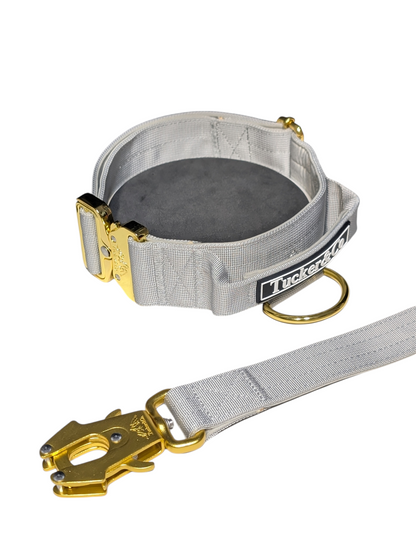 TUCKER & CO GREY AND GOLD COLLAR AND LEAD