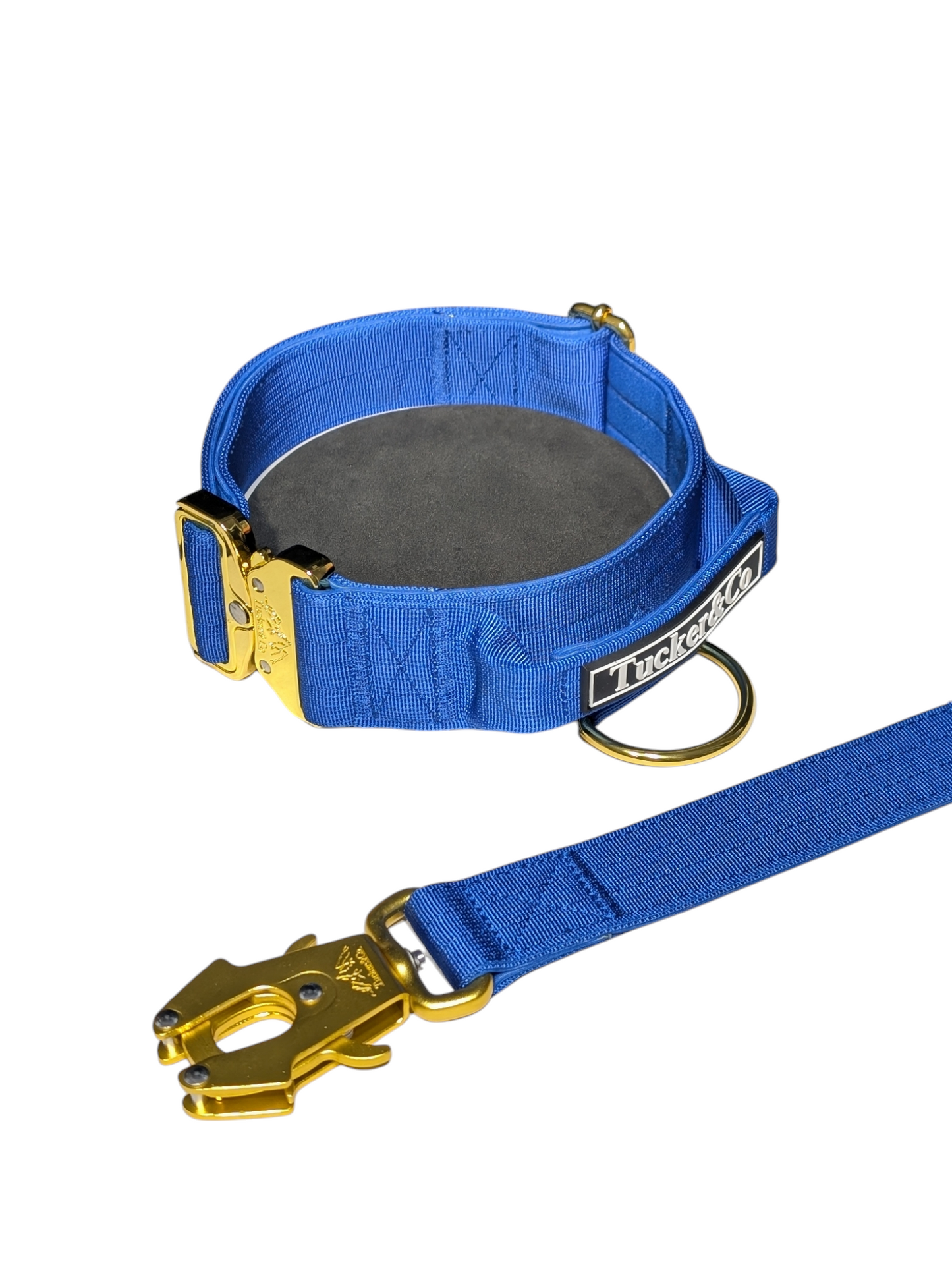 TUCKER & CO ROYAL BLUE AND GOLD COLLAR AND LEAD