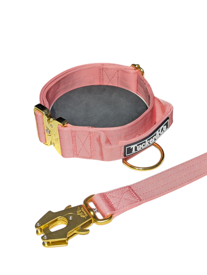 TUCKER & CO SOFT PINK AND GOLD COLLAR AND LEAD