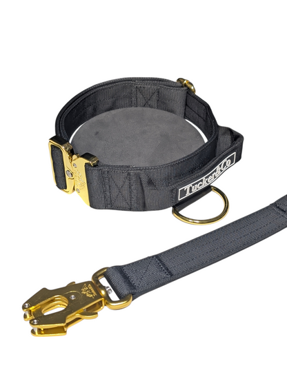 TUCKER & CO BLACK AND GOLD COLLAR AND LEAD