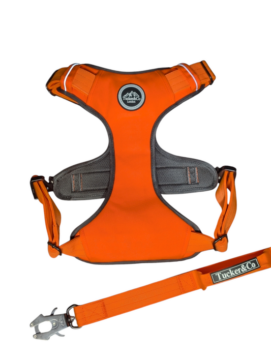 ORANGE TACTICAL HARNESS AND LEAD