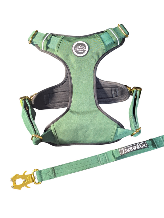 EMERALD GREEN TACTICAL HARNESS AND LEAD