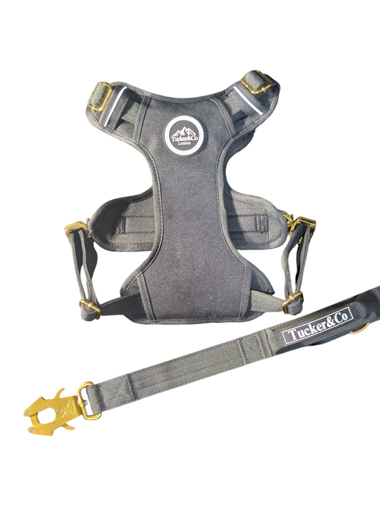 BLACK TACTICAL HARNESS AND LEAD