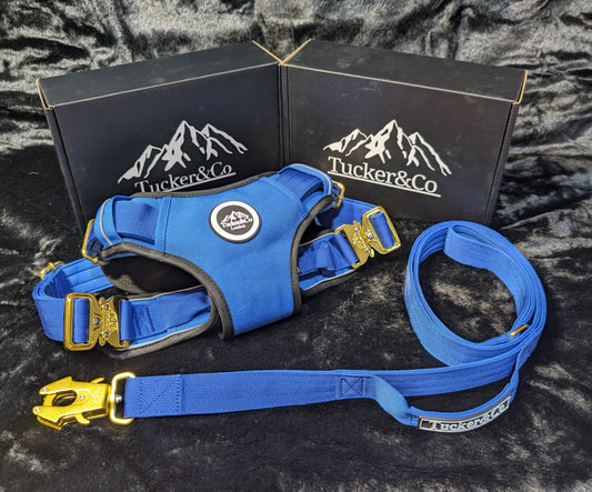 ROYAL BLUE TACTICAL HARNESS AND LEAD