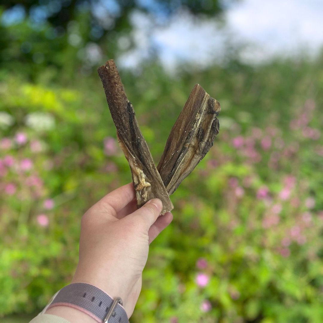 Tripe Sticks