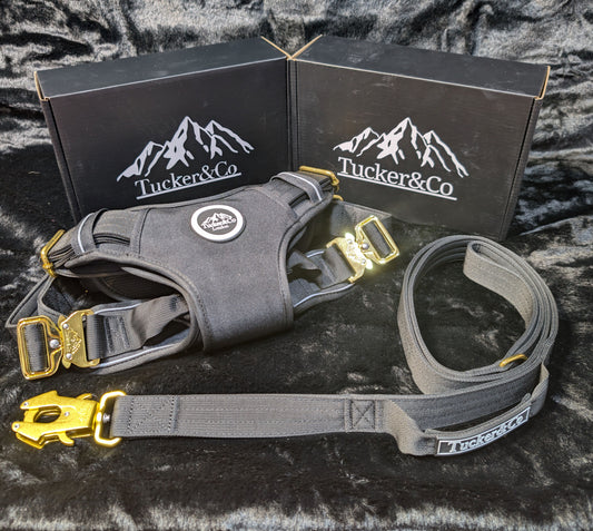 BLACK TACTICAL HARNESS AND LEAD