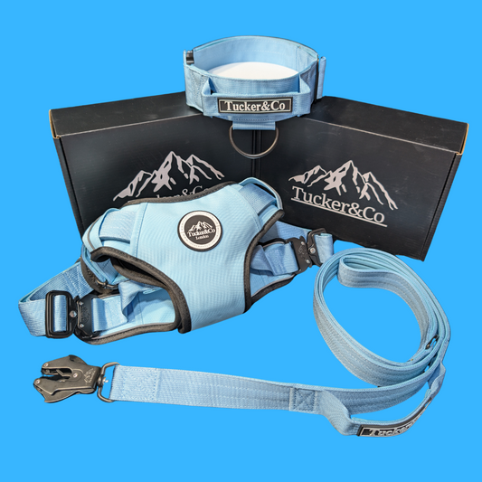 Tucker&Co Sky Blue full matching set - Collar Lead & Harness