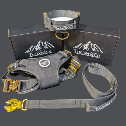 Tucker&Co Black and Gold full matching set - Collar Lead & Harness