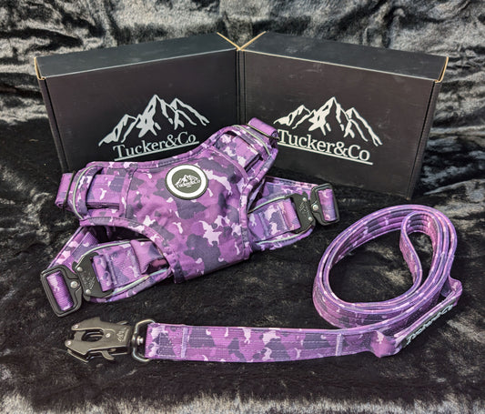 CAMO PURPLE TACTICAL HARNESS AND LEAD