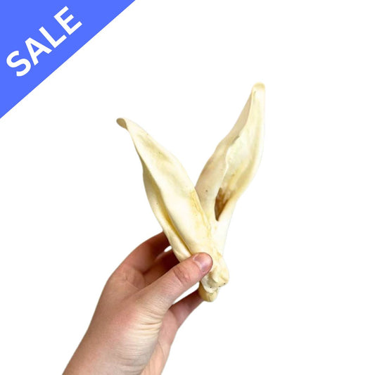 Plain Lamb Ear