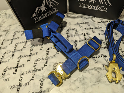 Tucker&Co Royal Blue full matching set - Collar Lead & Harness