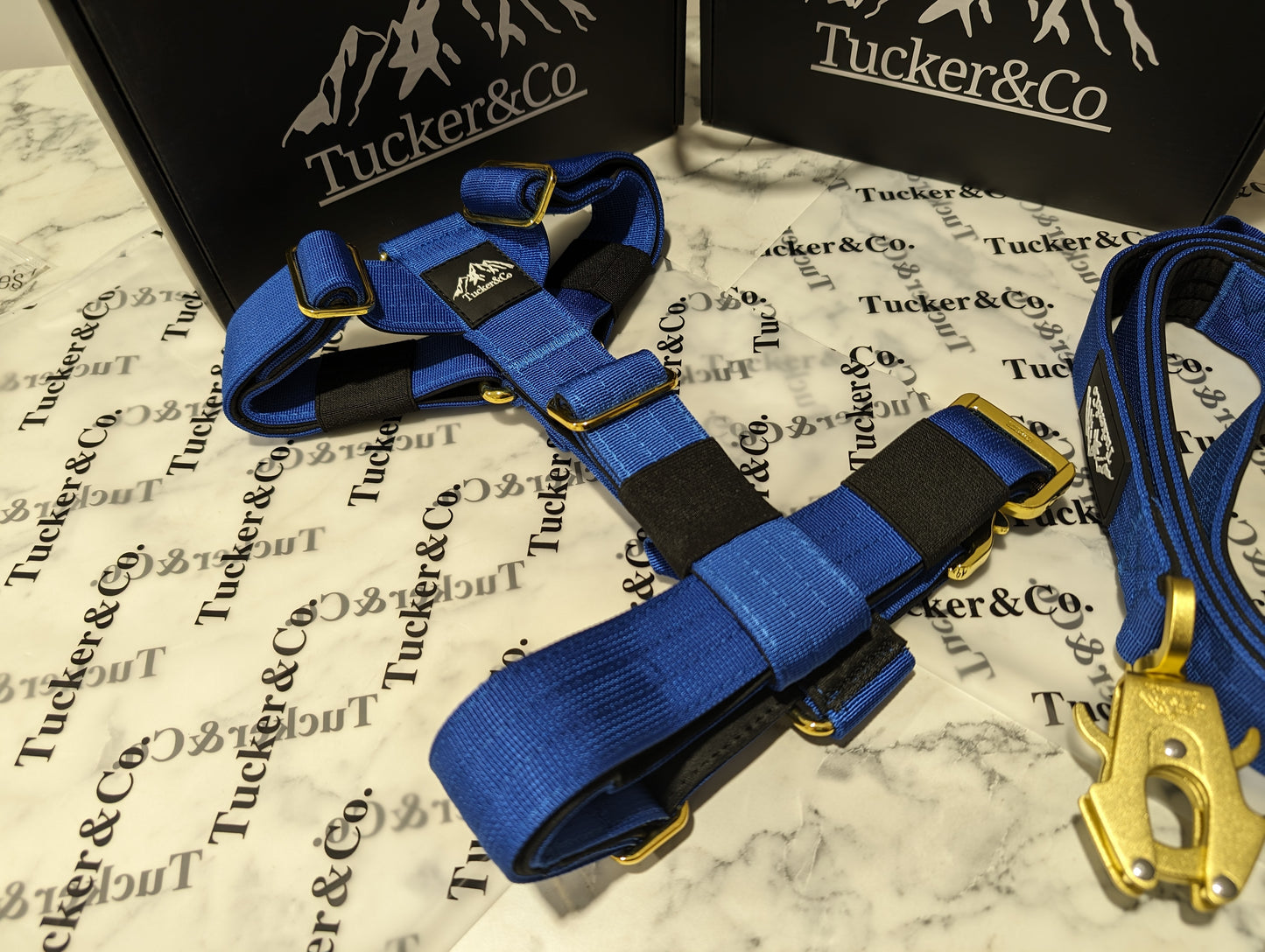 Tucker&Co Royal Blue full matching set - Collar Lead & Harness