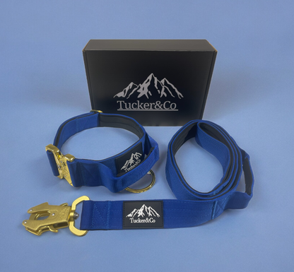 Tucker&Co Royal Blue full matching set - Collar Lead & Harness