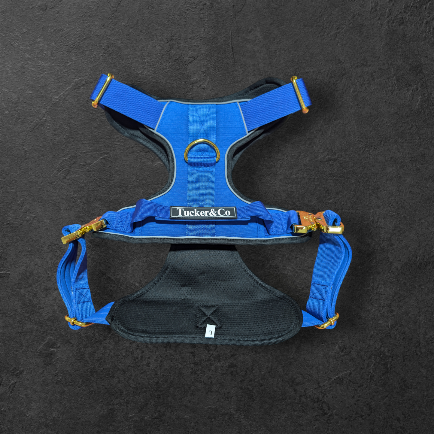 Royal Blue & Gold Harness