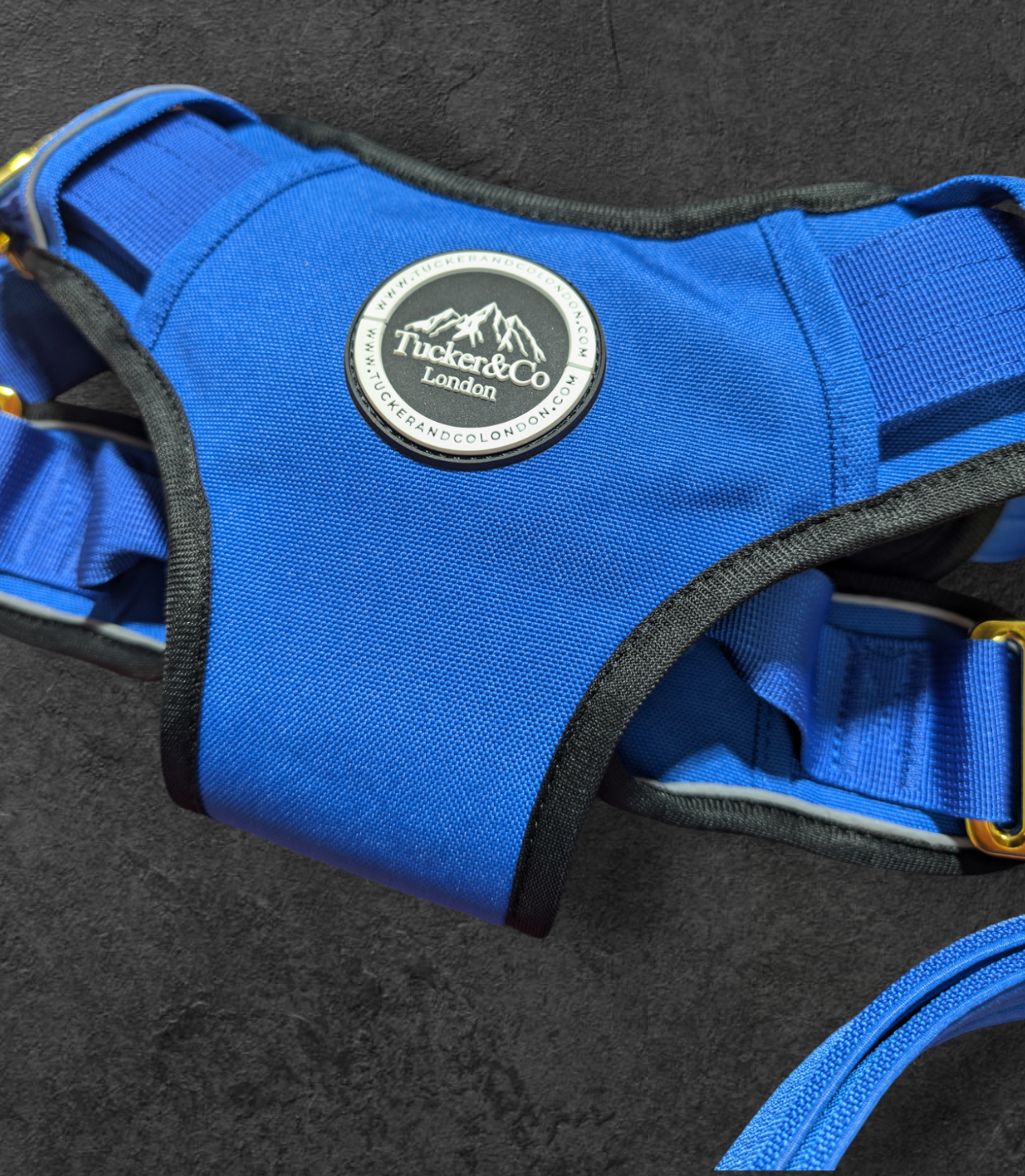 Royal Blue & Gold Harness