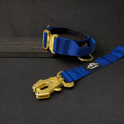 Tucker&Co Royal Blue full matching set - Collar Lead & Harness