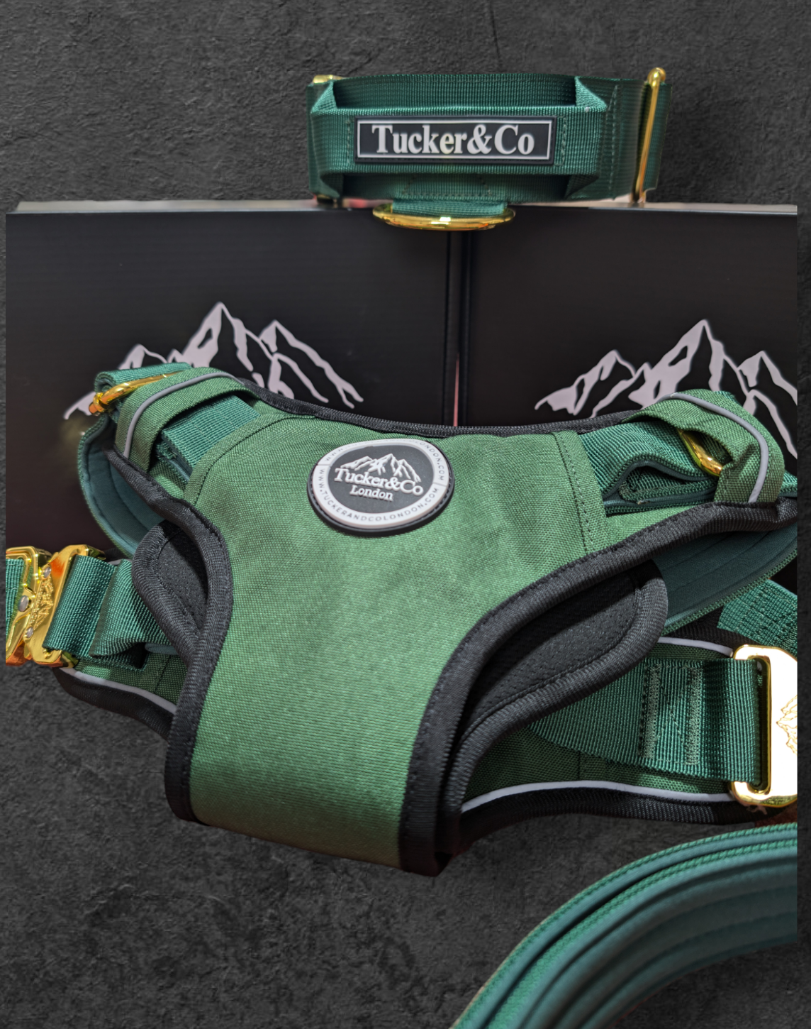 Emerald Green & Gold Harness