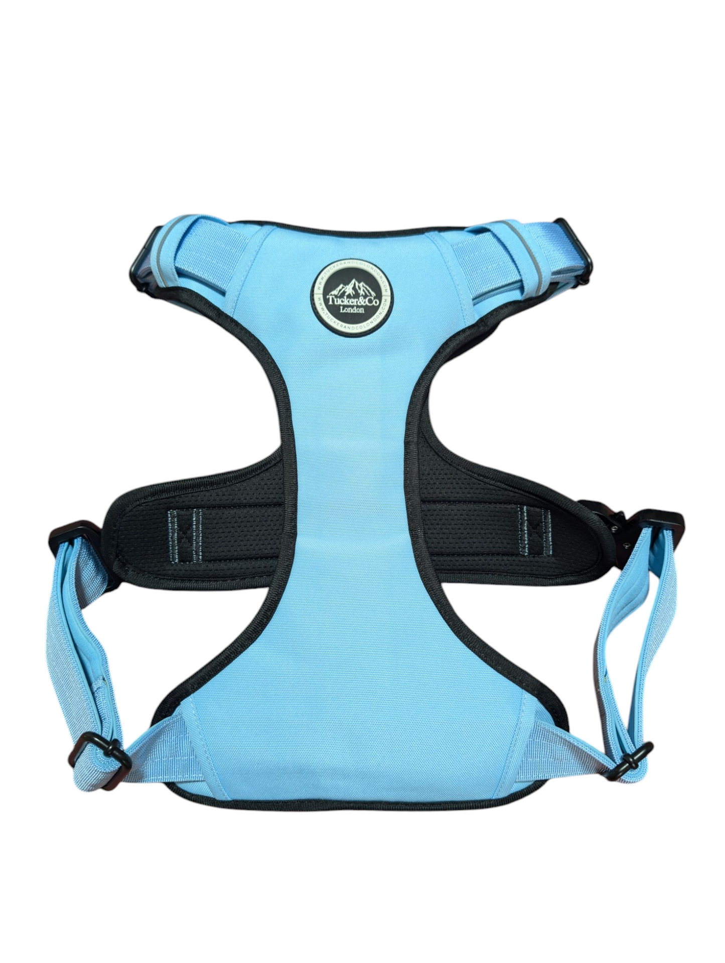 Tucker&Co London Sky Blue Harness